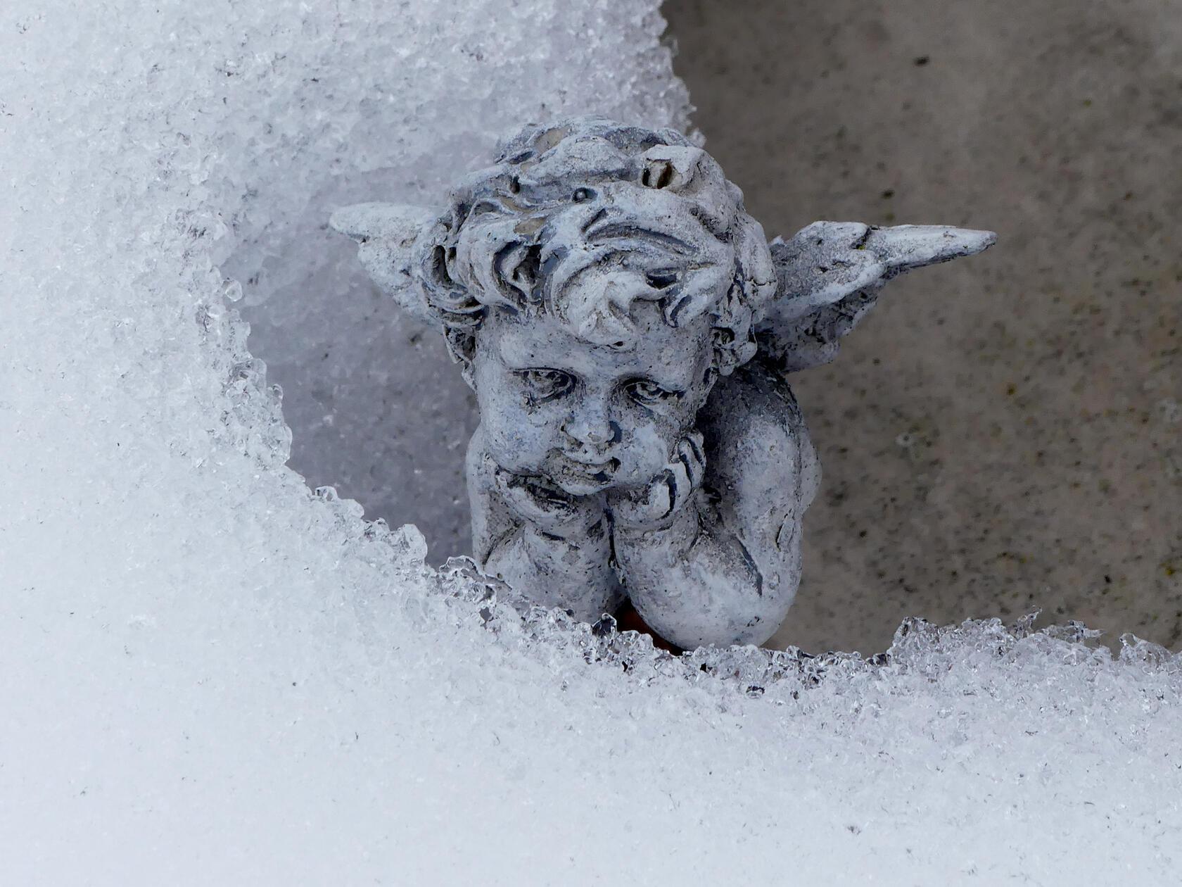 Dieser kleine Engel wartet sehnsuchtsvoll auf die ersten Sonnenstrahlen.