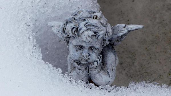 Dieser kleine Engel wartet sehnsuchtsvoll auf die ersten Sonnenstrahlen.