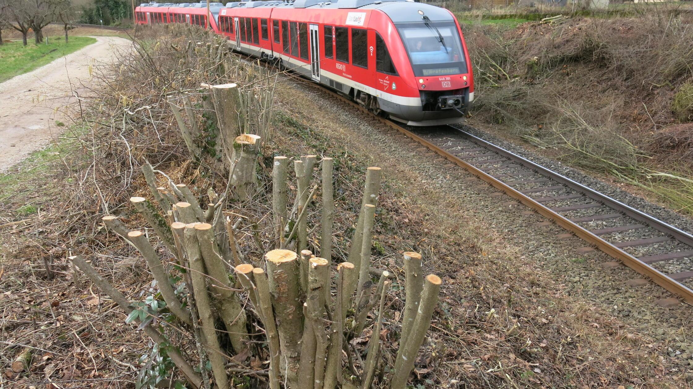 Gräfenbergbahn sj