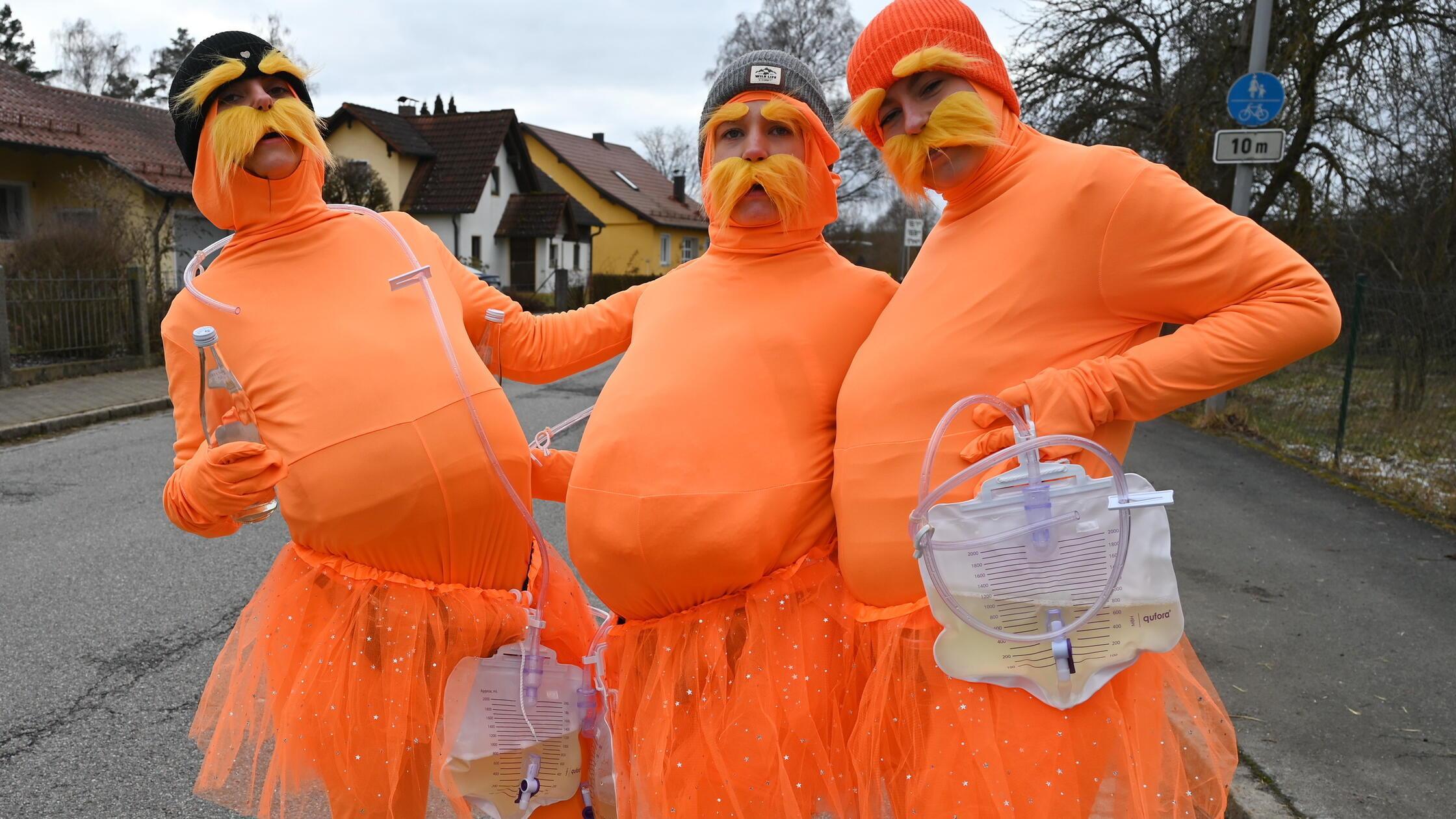 20260212_schnu_faschingszug schnufenhofen_siem049