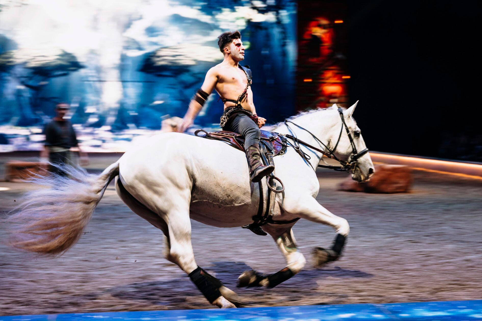 Sie ist das Erlebnis für Pferdefans: die Cavalluna Show. Am Samstag (14 & 19 Uhr) und Sonntag (13 & 17.30 Uhr) macht der Mix aus Reitkunst, Akrobatik und Tanz in der Nürnberger PSD Bank Arena Station. Das diesjährige Programm trägt den Titel „Tor zu Anderswelt“ und erzählt die Geschichte einer jungen Seherin, die sich auf eine abenteuerliche Reise begibt, nachdem sie von ihrem Volk verstoßen wurde.