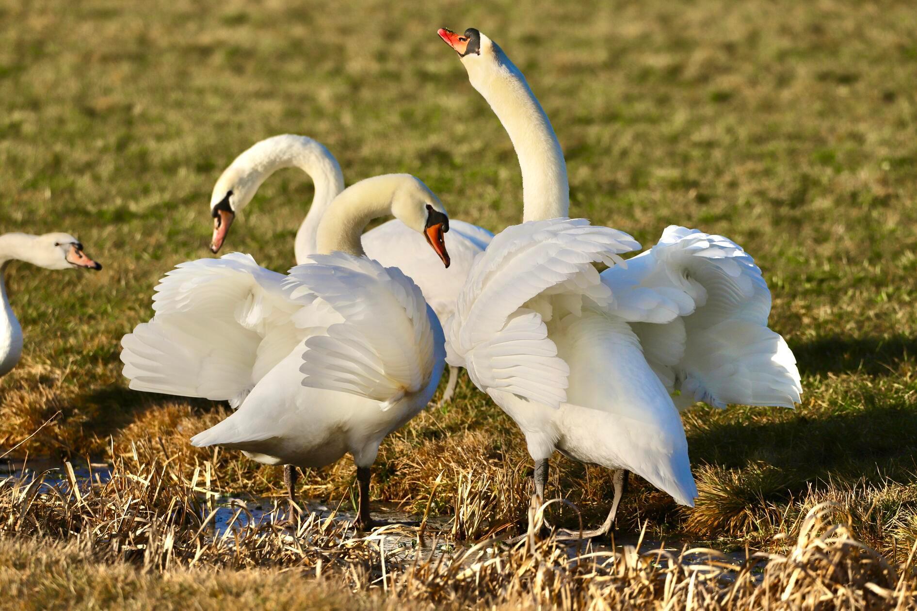 Nanu, gibt es hier etwa Streitereien?