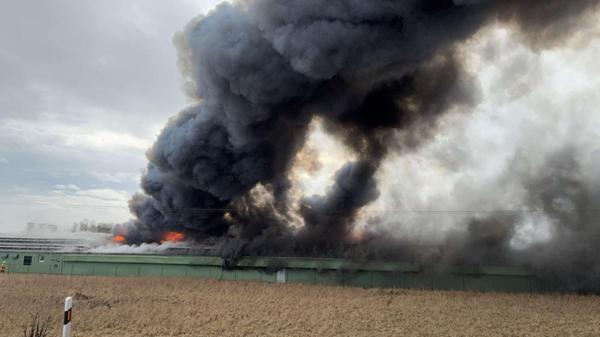 a4b189de-9308-408c-9613-824299ed177f