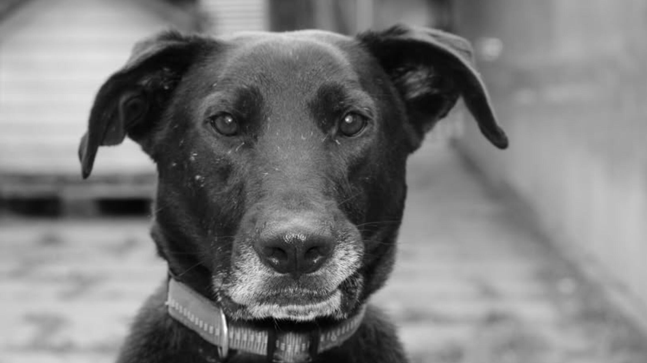 632150006_1337847471701941_2891806707063948623_n