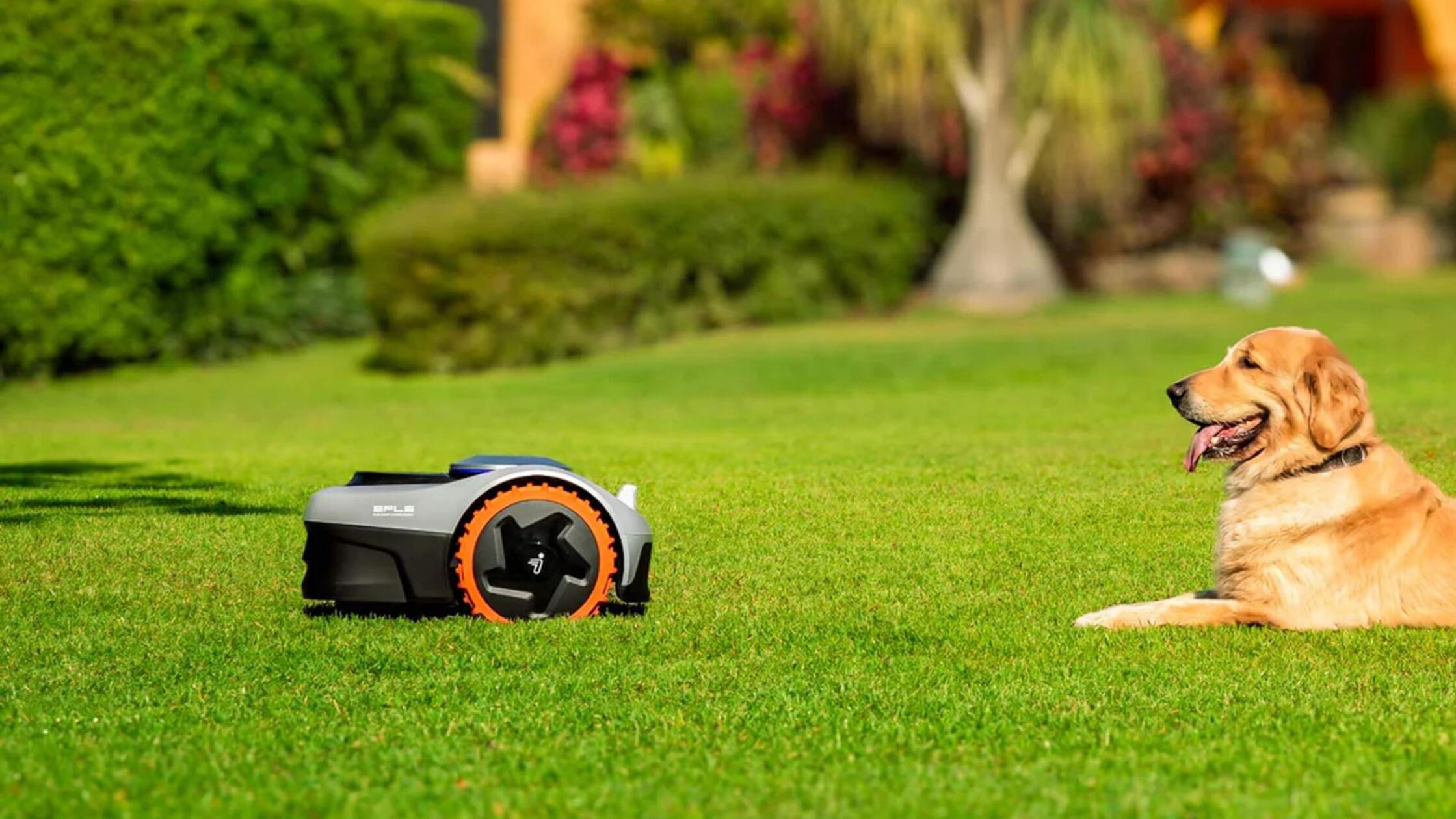 Testsieger Maehroboter Gartenbesitzer Husqvar