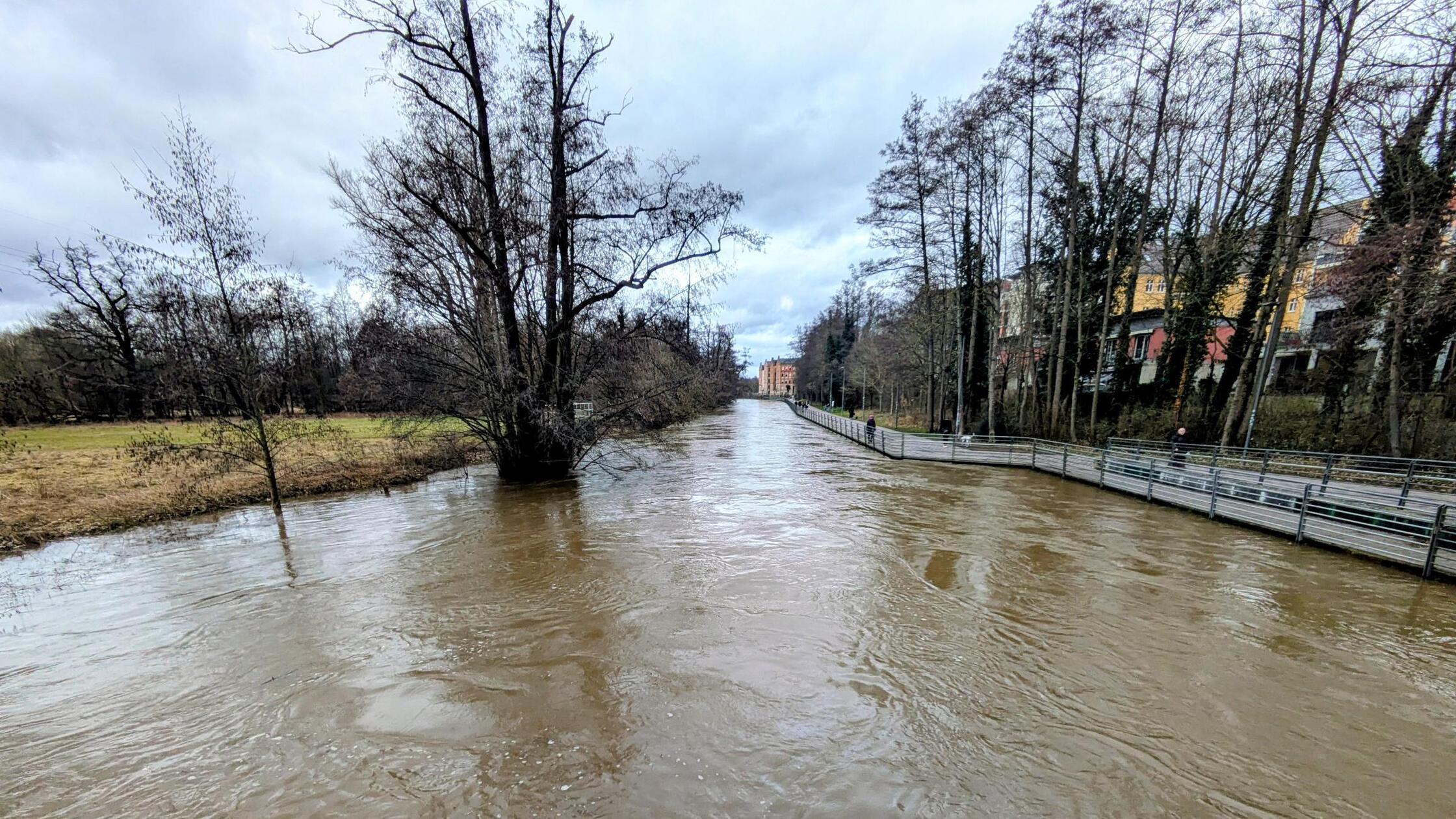 PXL_20260213_133902554~2