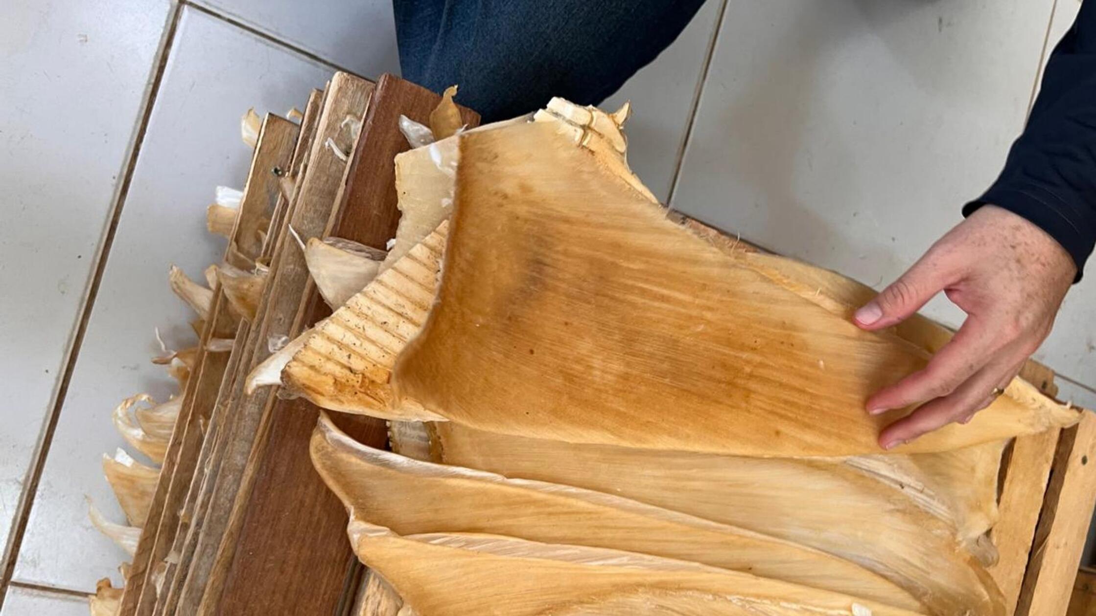 Auf diesem von der brasilianischen Bundespolizei z