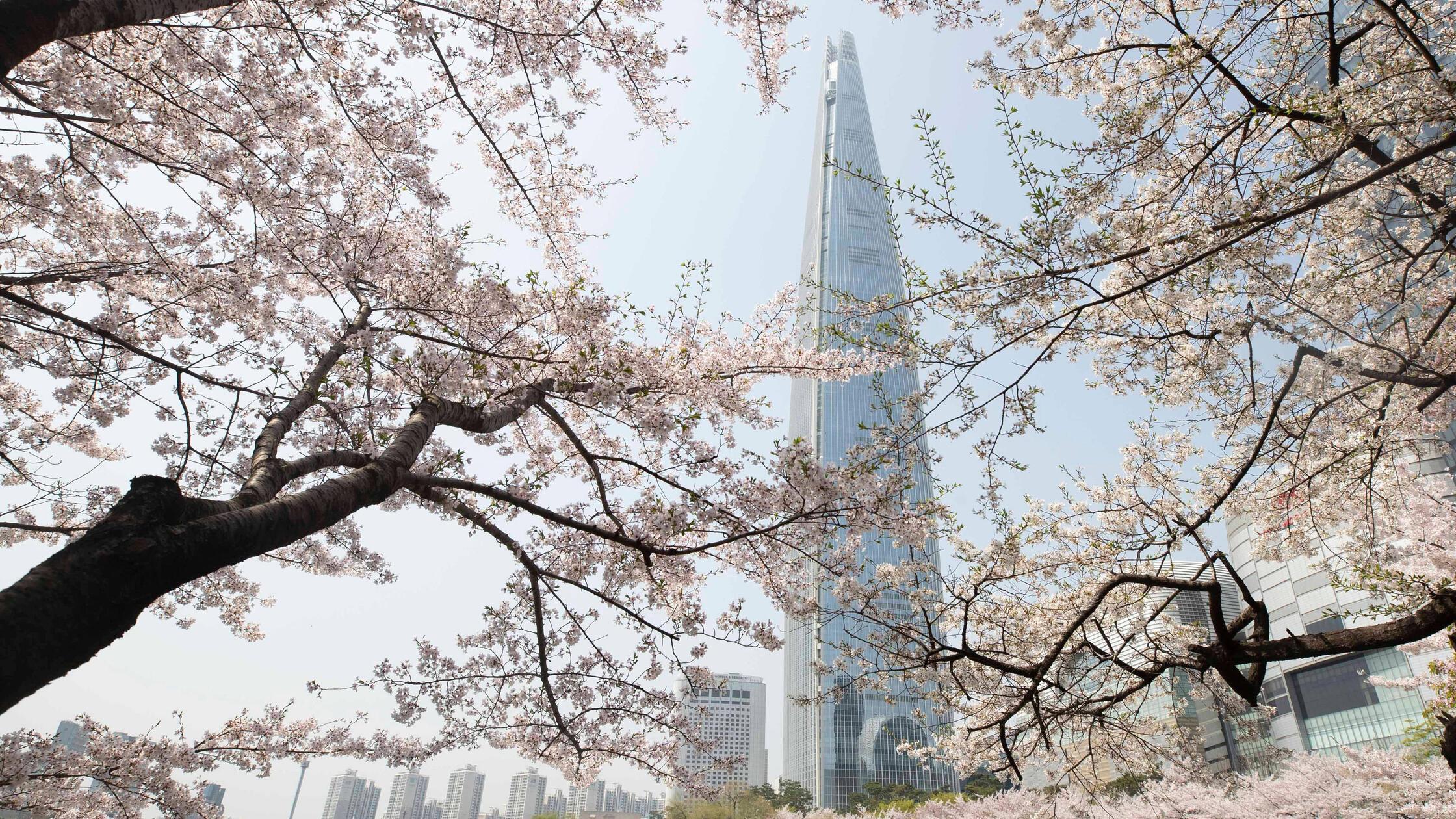 (240407) -- SEOUL, April 7, 2024 -- This photo tak