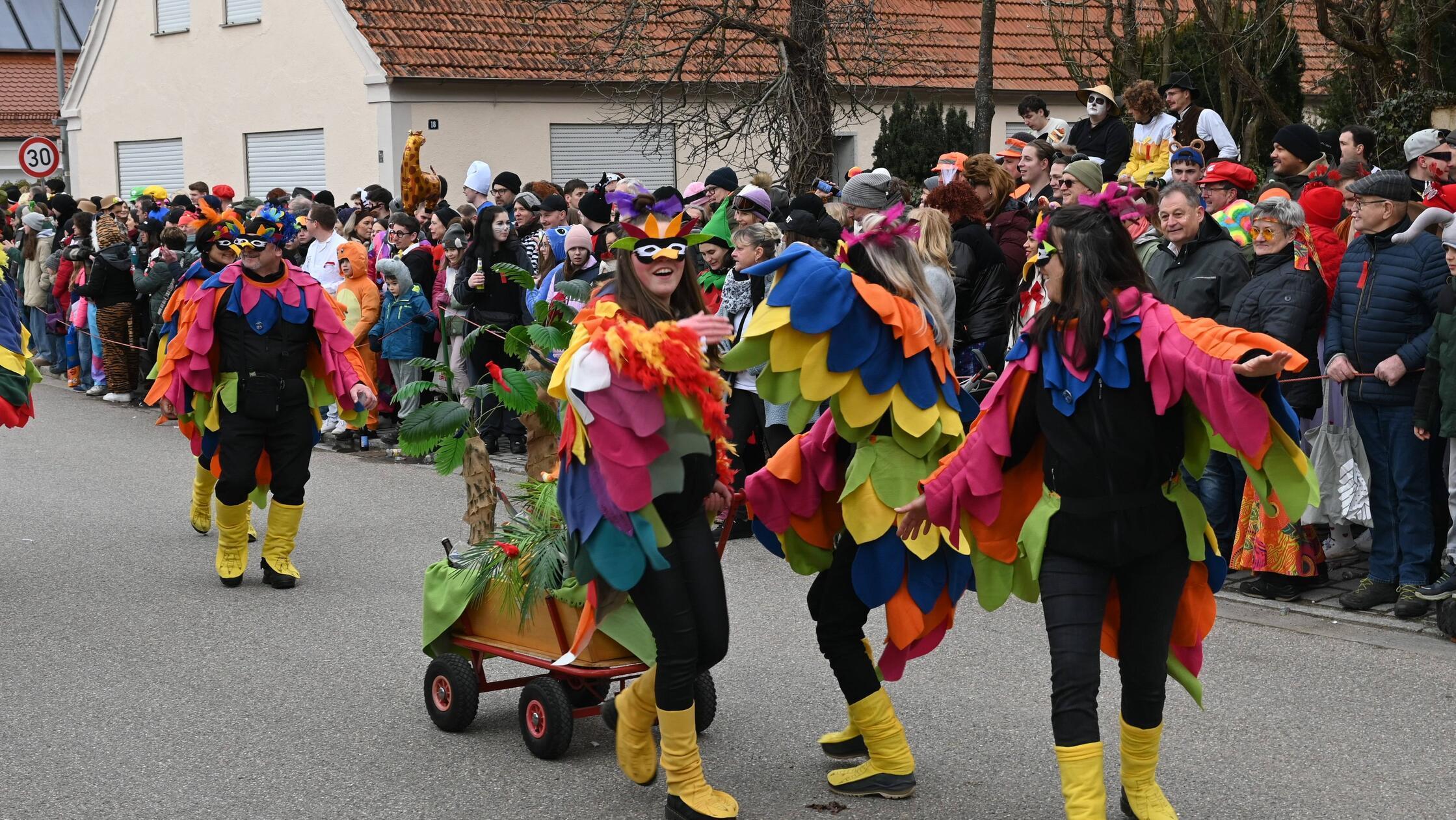 Megesheim Fasching Umzug