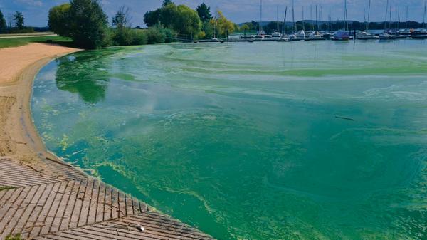 Hier wollte und durfte in diesem August niemand ba