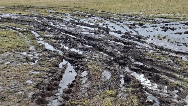 Zerfurchte Wiesen in Allersberg