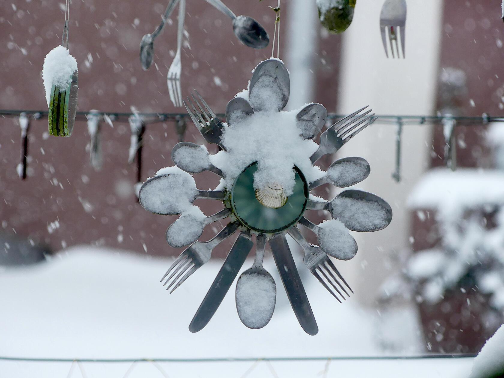 Was steht wohl heute auf dem Speiseplan? Vielleicht ein Eis?