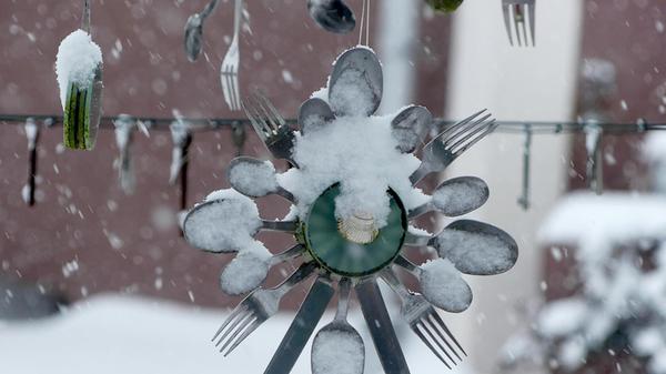 Was steht wohl heute auf dem Speiseplan? Vielleicht ein Eis?