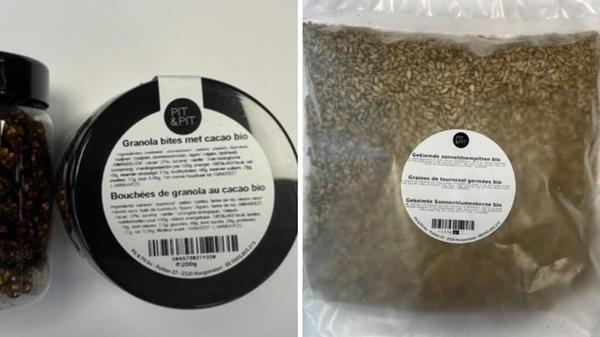 2026-02-20_10-02_collage (1)