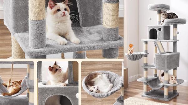 Katzen Kratzbaum Kratzsaeulen Hoehlen Haengematte