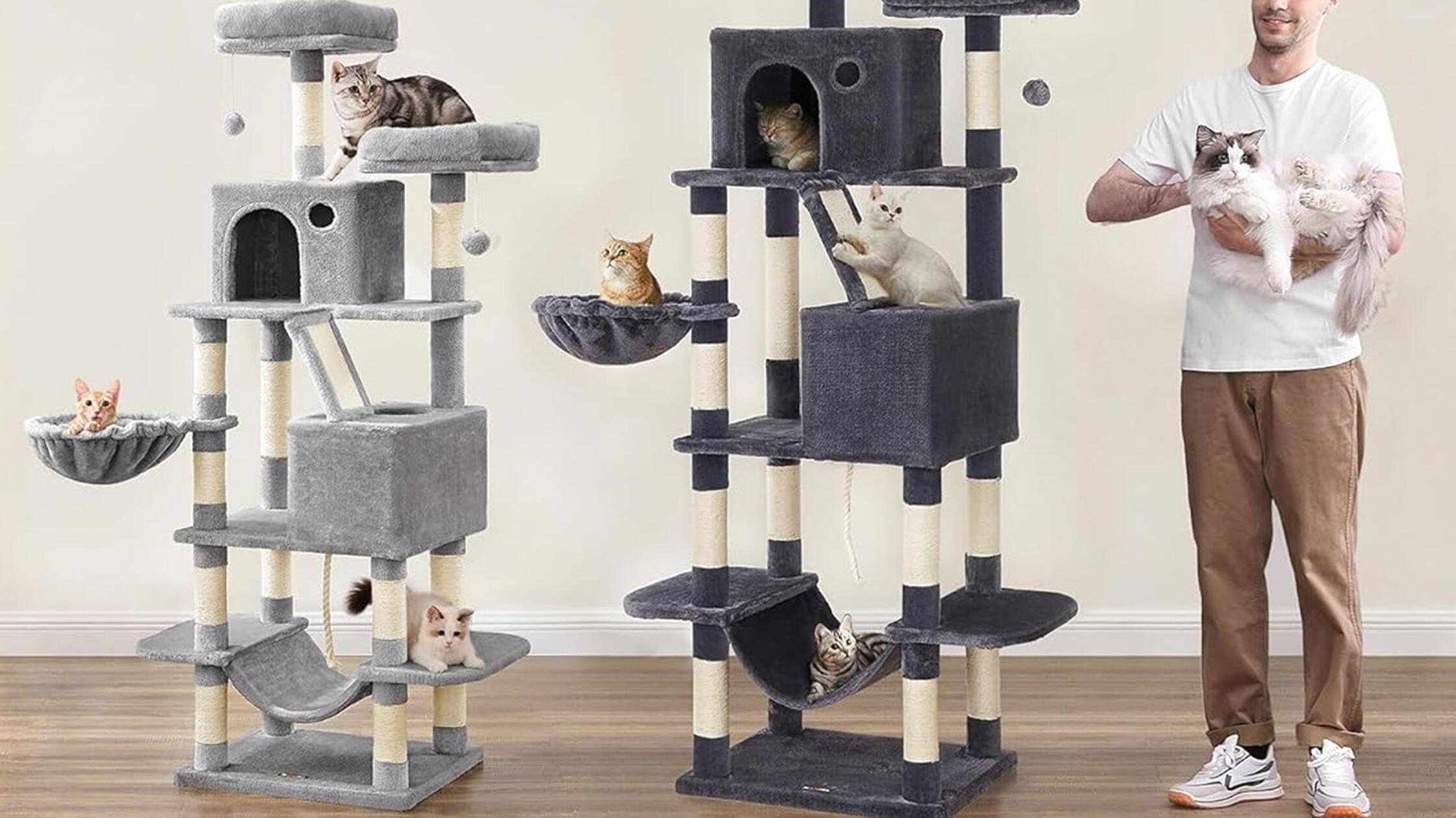 Katzen lieben diesen Kratzbaum: Bestseller mit 13 Kratzsulen, Hhlen &  Hngematte im Frhlingsdeal