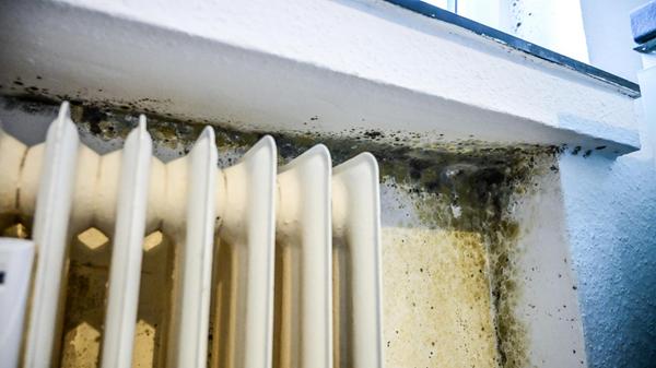 Schimmelwohnung Röttgersbach