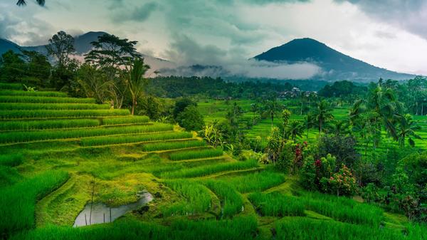 Auch die indonesische Insel Bali zieht die Reißleine: Nicht nur wird nun ein Visium für Touristen fällig, sondern bei Einreise auch eine Abgabepauschale für Touristen von umgerechnet etwa zehn Euro. Diese Gebühr soll in Umweltschutzprojekte fließen und Gästen mehr Respekt für die einheimische Kultur und Landschaft einflößen.