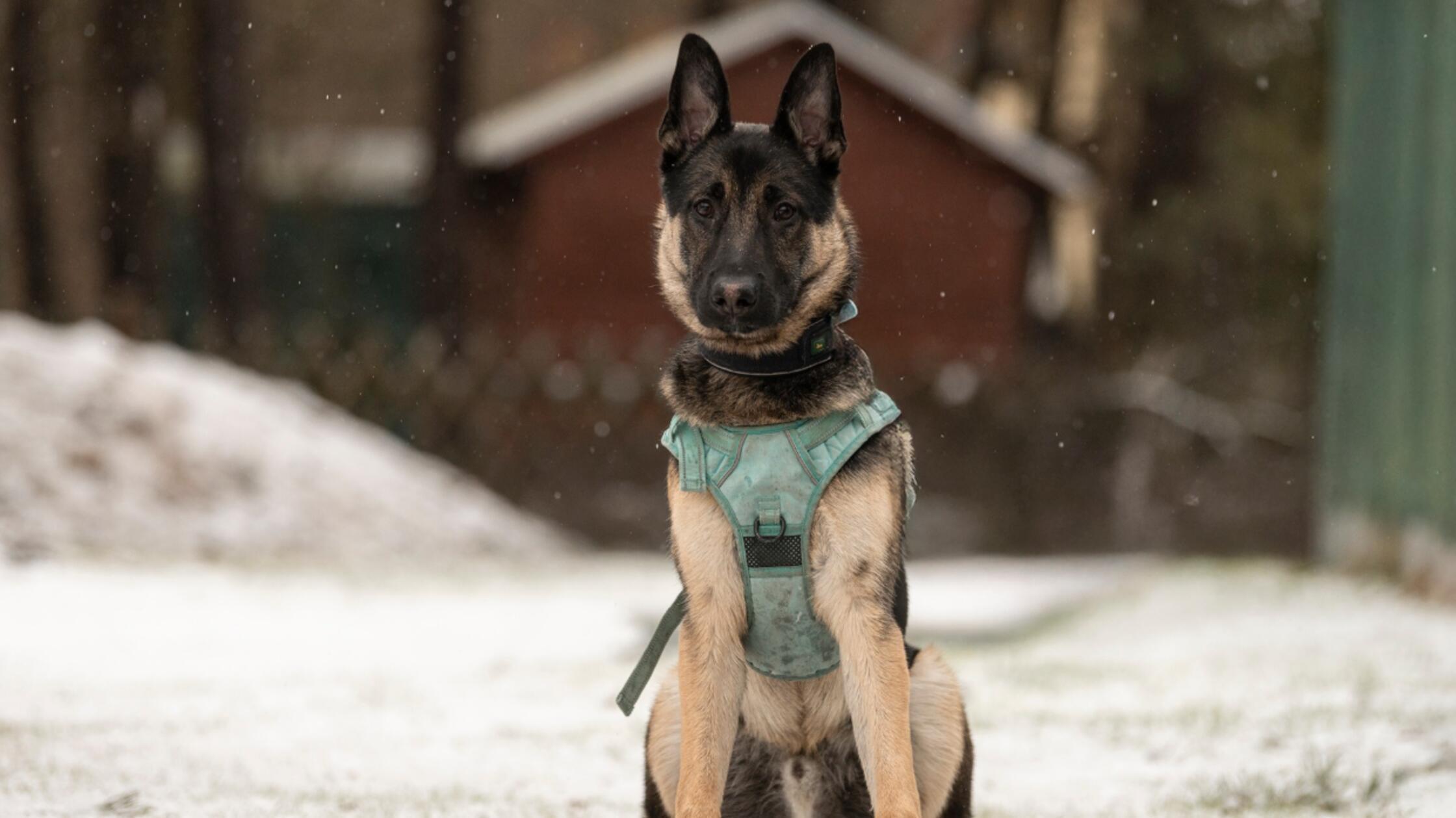 Screenshot 2026-02-21 100602