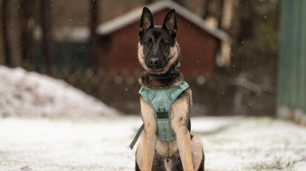 Screenshot 2026-02-21 100602