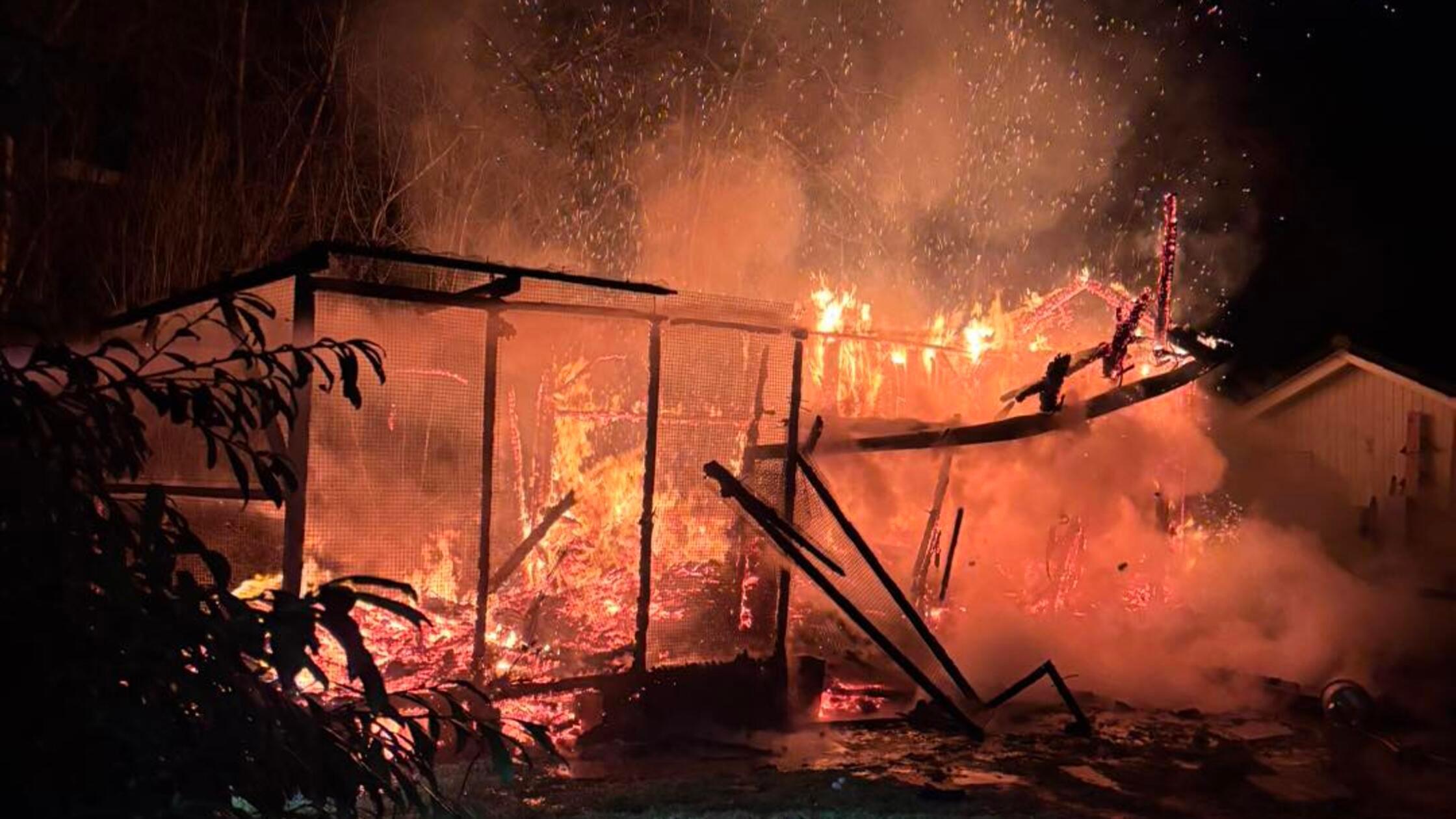 Feueralarm bei H&ouml;chstadt: Tauben im Wert von nahezu 100 ...