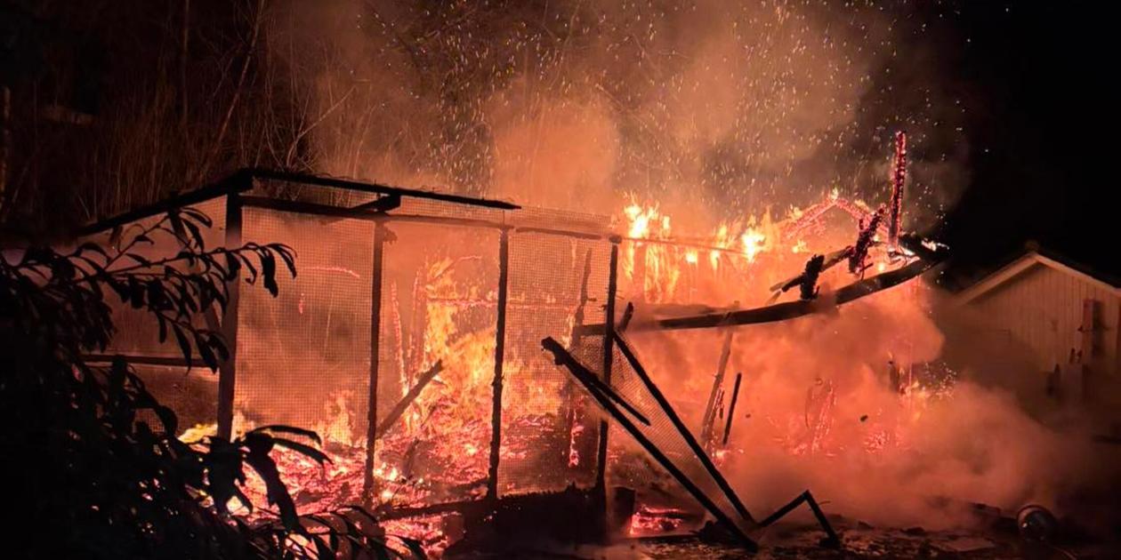 Feueralarm bei Höchstadt: Tauben im Wert von nahezu 100 ...