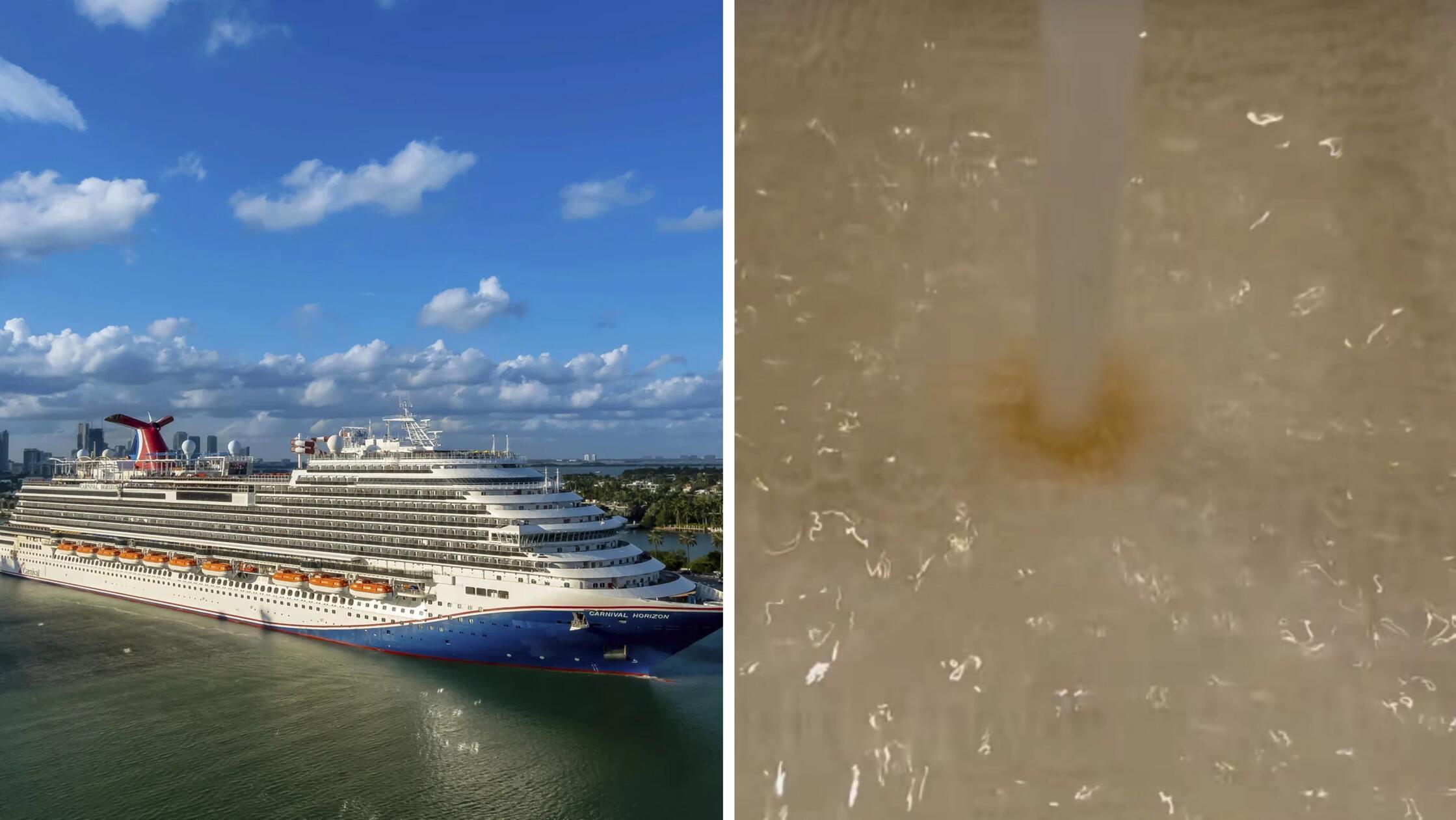 2026-02-23_12-10_collage