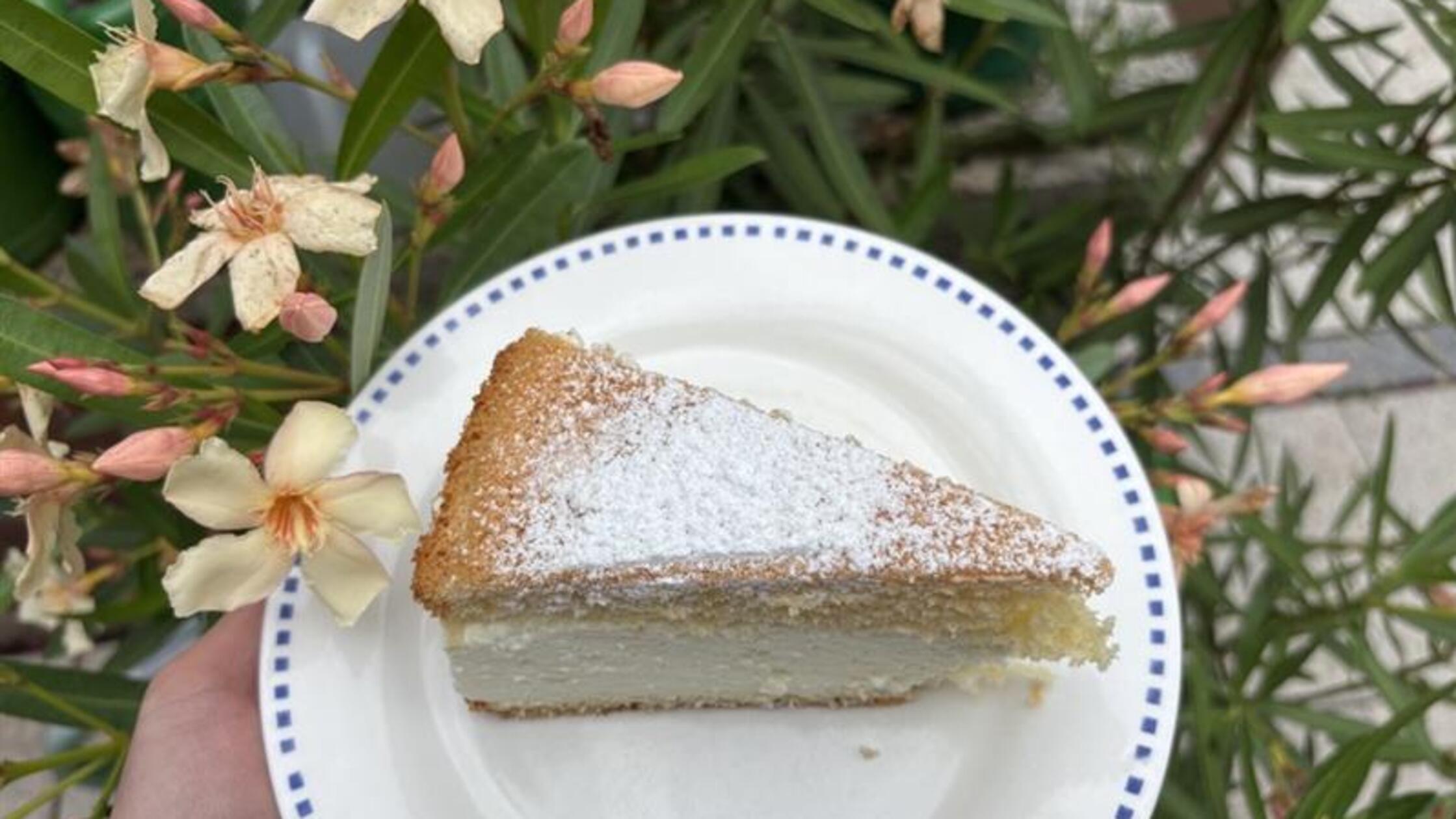 Image - 2026-02-24T090021