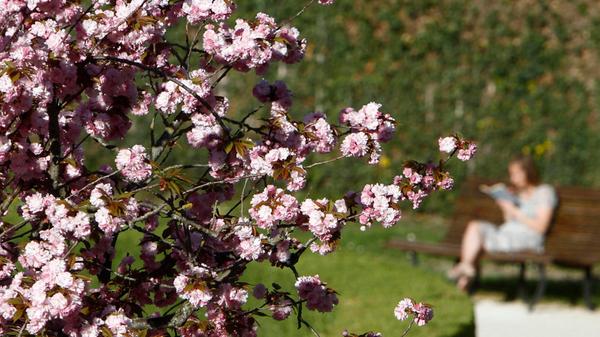 Spätestens im April kommen bei uns Frühlingsgefühle auf. Und neue Bücher in die Buchläden. Unter den Neuerscheinungen im April gibt es viele Thriller, aber natürlich ist auch für Fans anderer Genres etwas dabei.