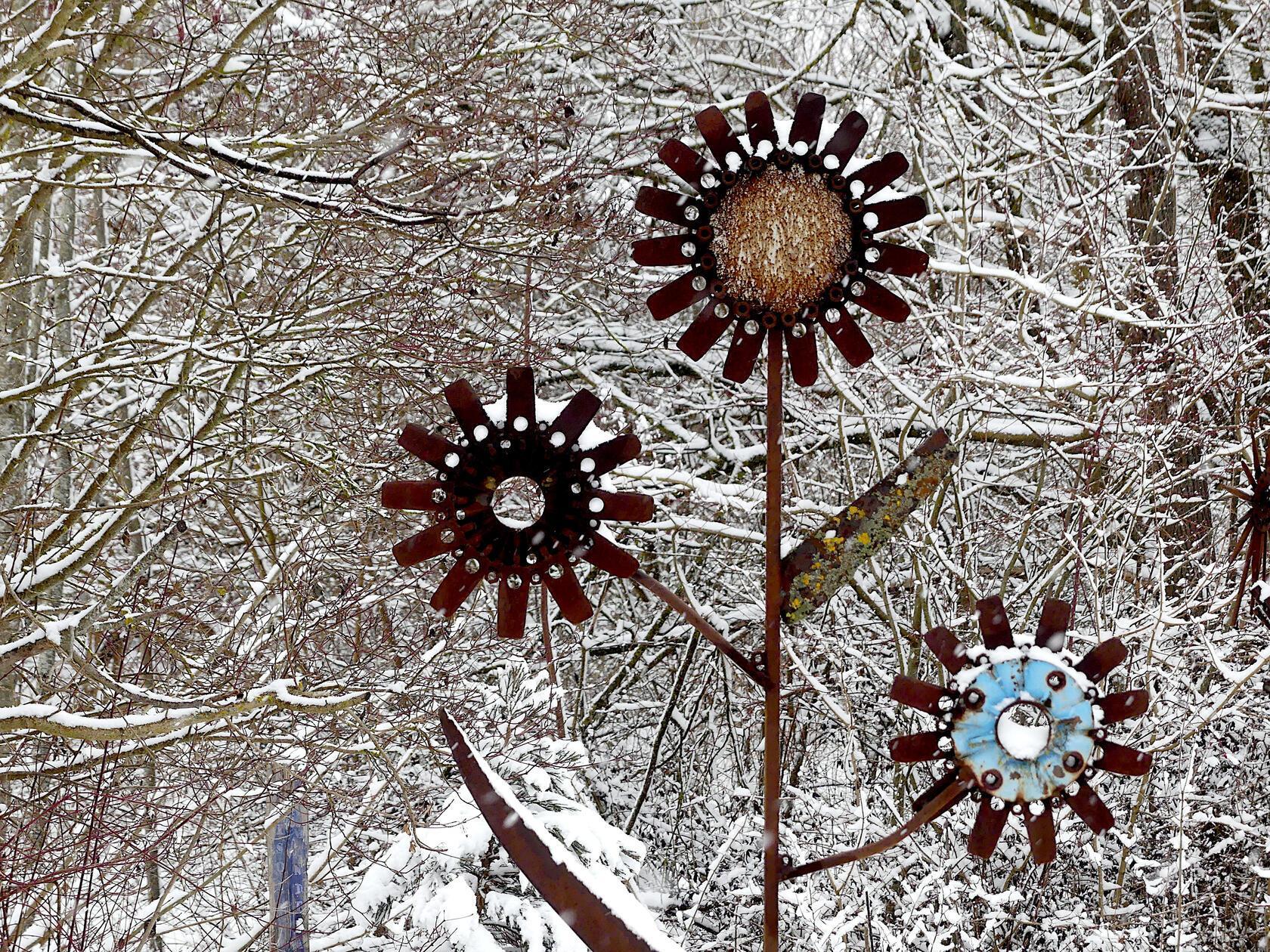 Letzte Wintergrüße oder bereits die ersten Frühlings-Blütenbilder?