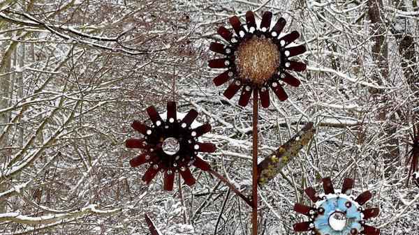 Letzte Wintergrüße oder bereits die ersten Frühlings-Blütenbilder?