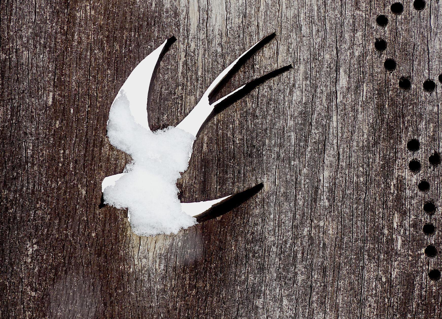 Eine Schwalbe macht bekanntlich noch keinen Sommer. Schade.