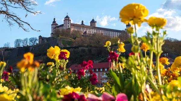 Germany, Wurzburg, Blooming flowers in city with M