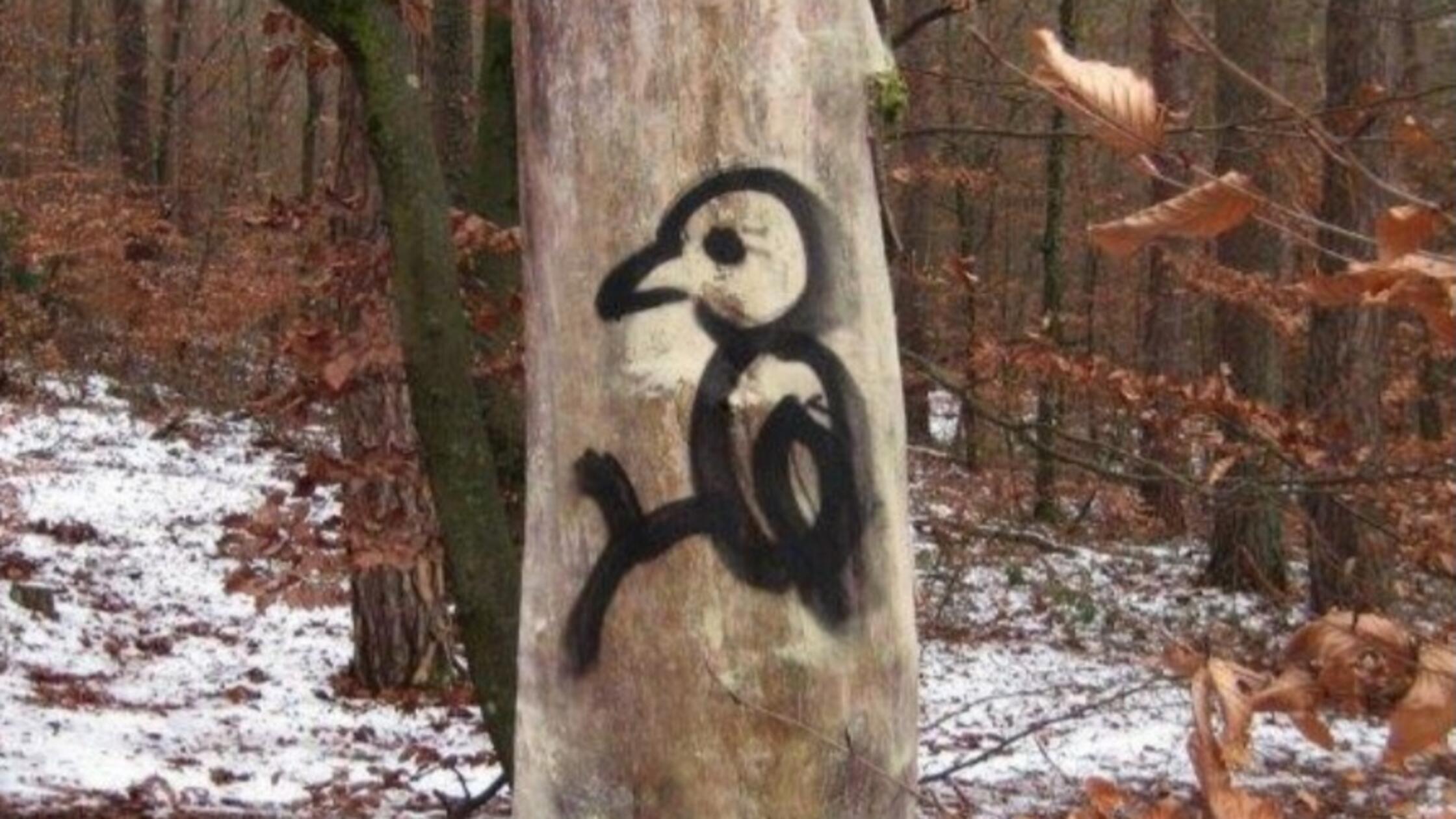 Spechtbaum Schorschi am Wolfstein