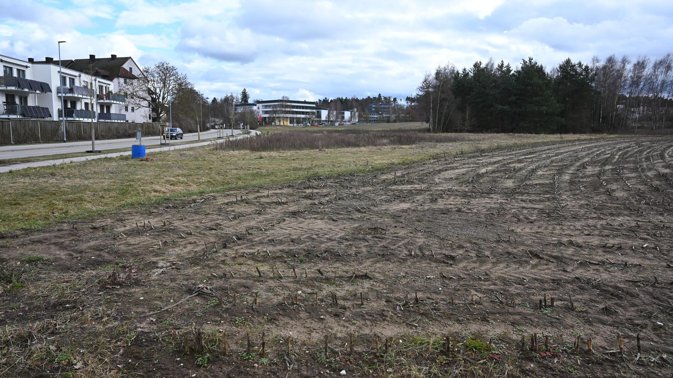 Nach positivem Beschluss im Stadtrat soll noch in 