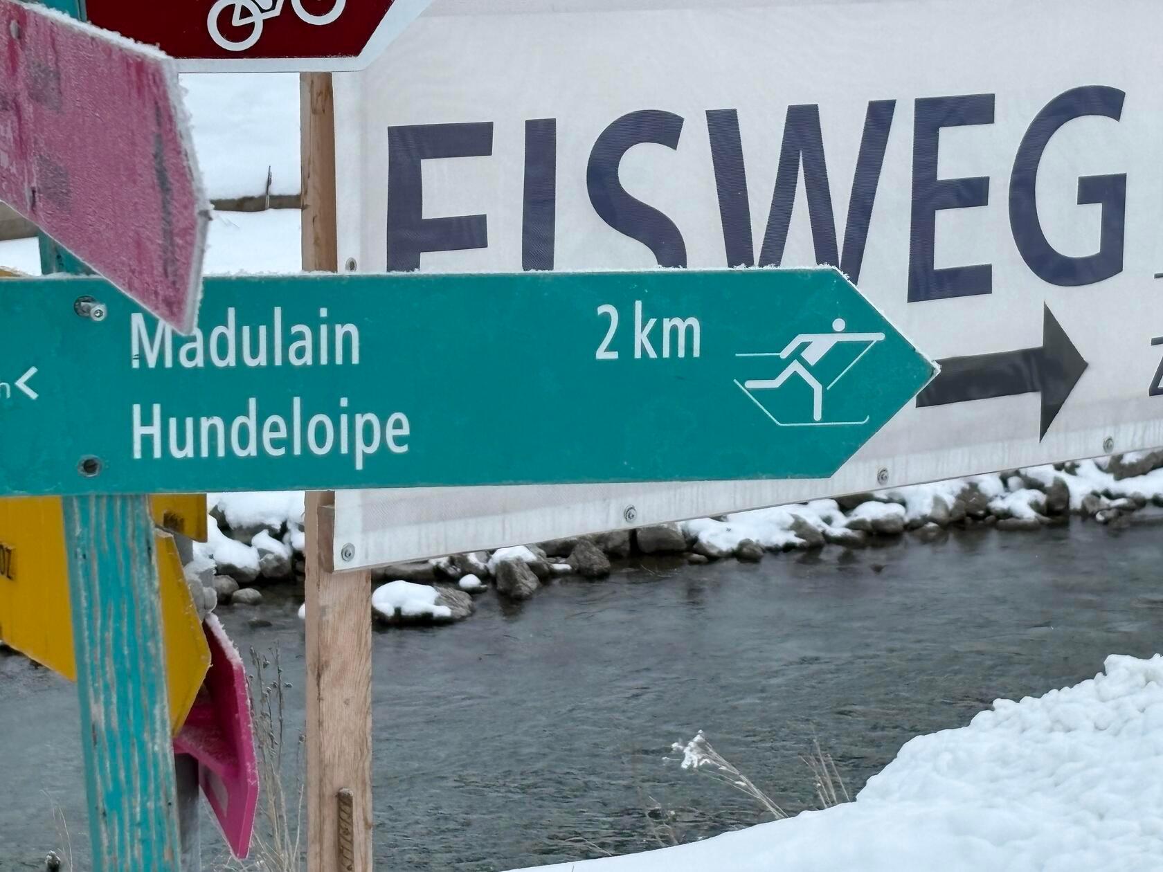 Tierisch sportlich - das geht in Zuoz. Hier gehts zur Hundeloipe.