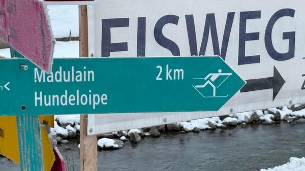 Tierisch sportlich - das geht in Zuoz. Hier gehts zur Hundeloipe.