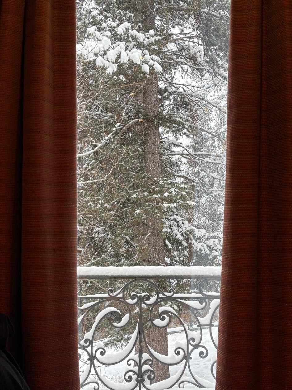 Blick nach draußen auf den Winterwald im Sporthotel in Pontresina.
