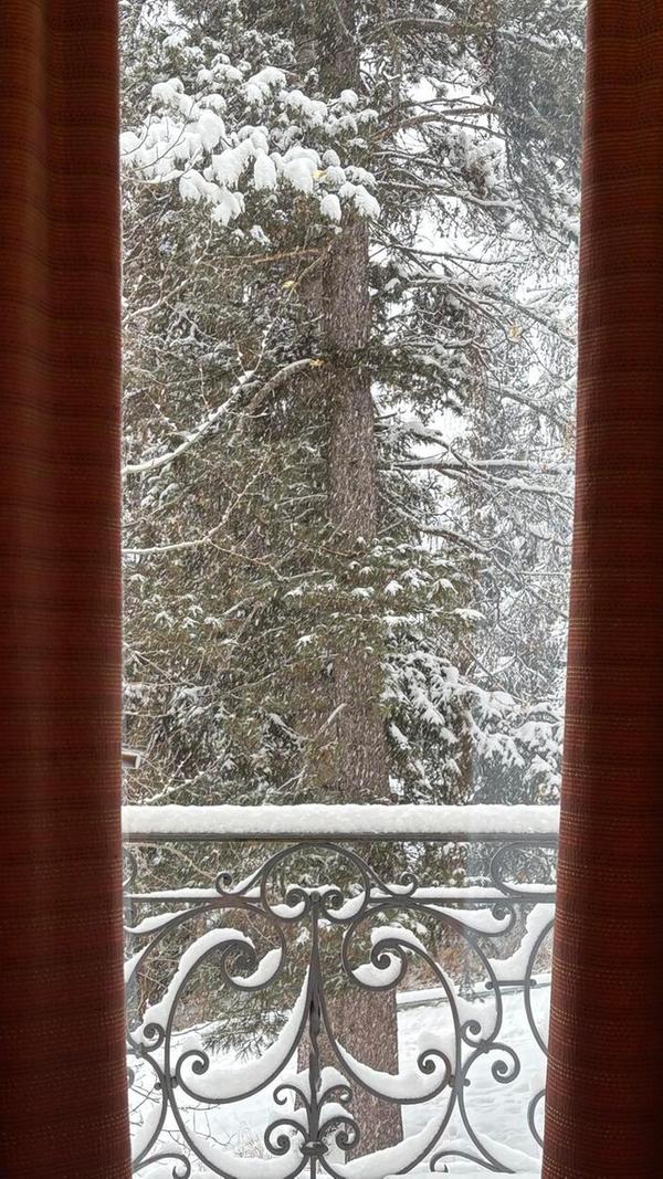 Blick nach draußen auf den Winterwald im Sporthotel in Pontresina.