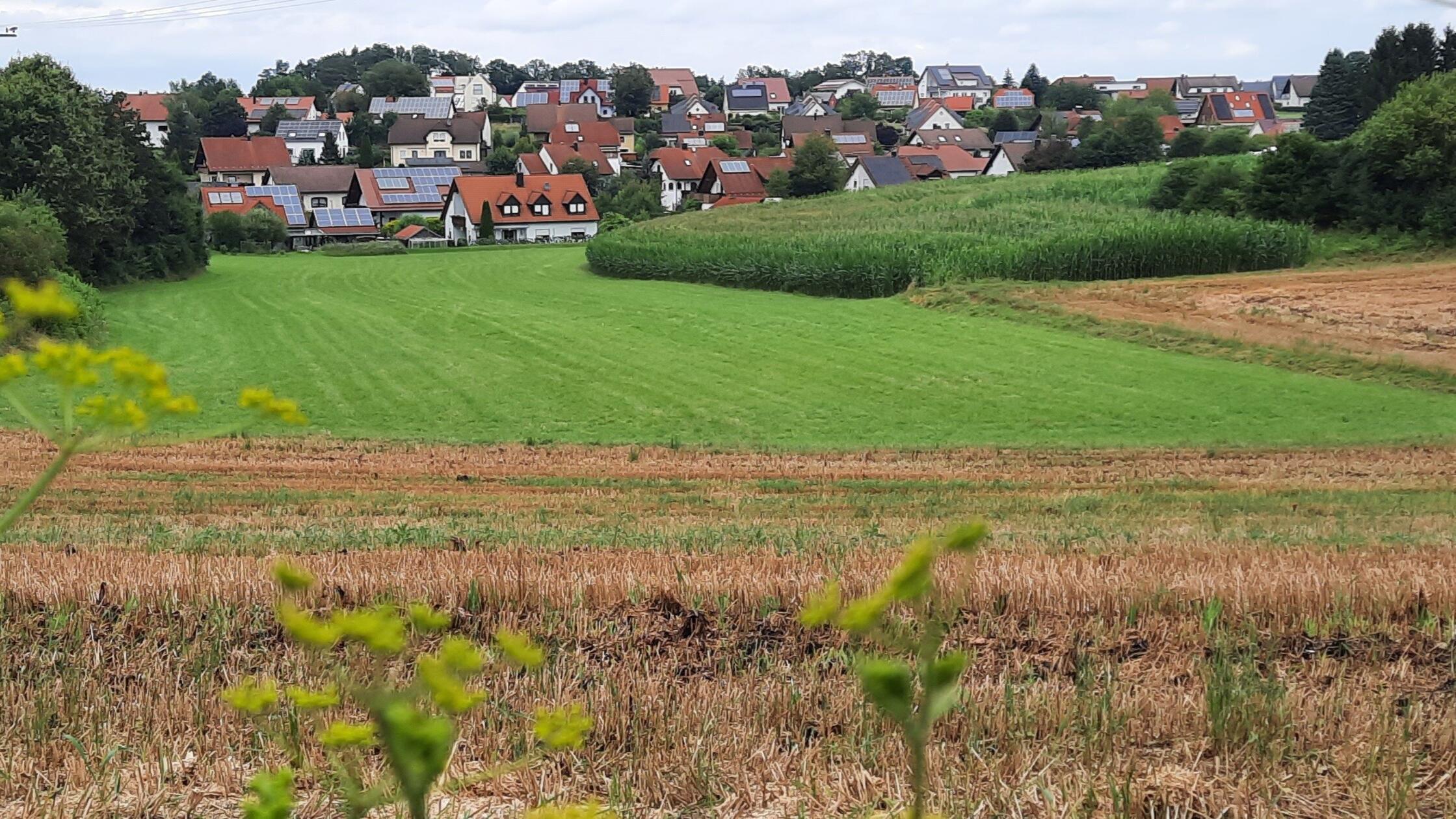 BaugebietNeuhaus_bg_22072024