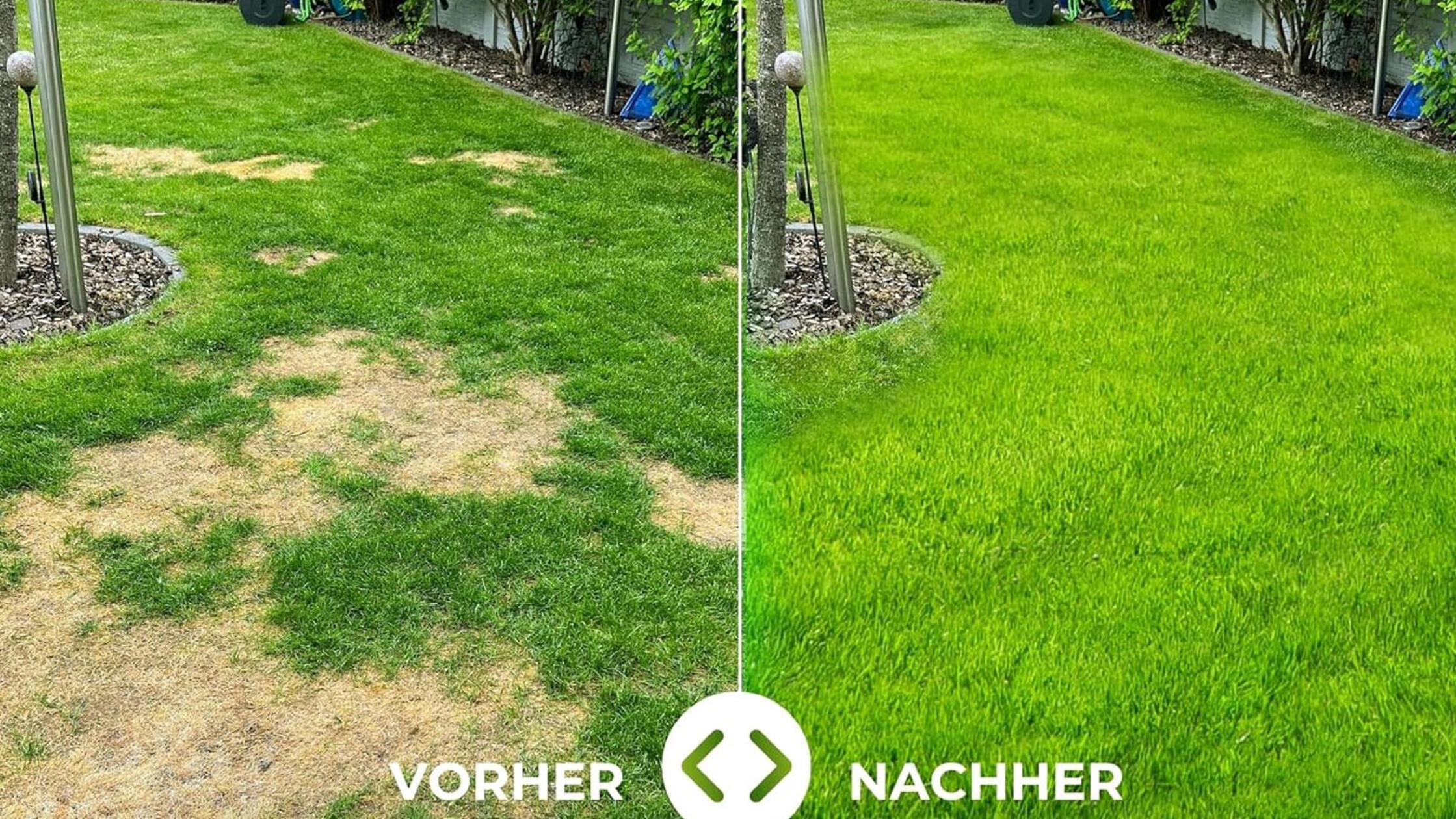 Fruehjahrs Rasenduenger  Turbogruen Terrauno