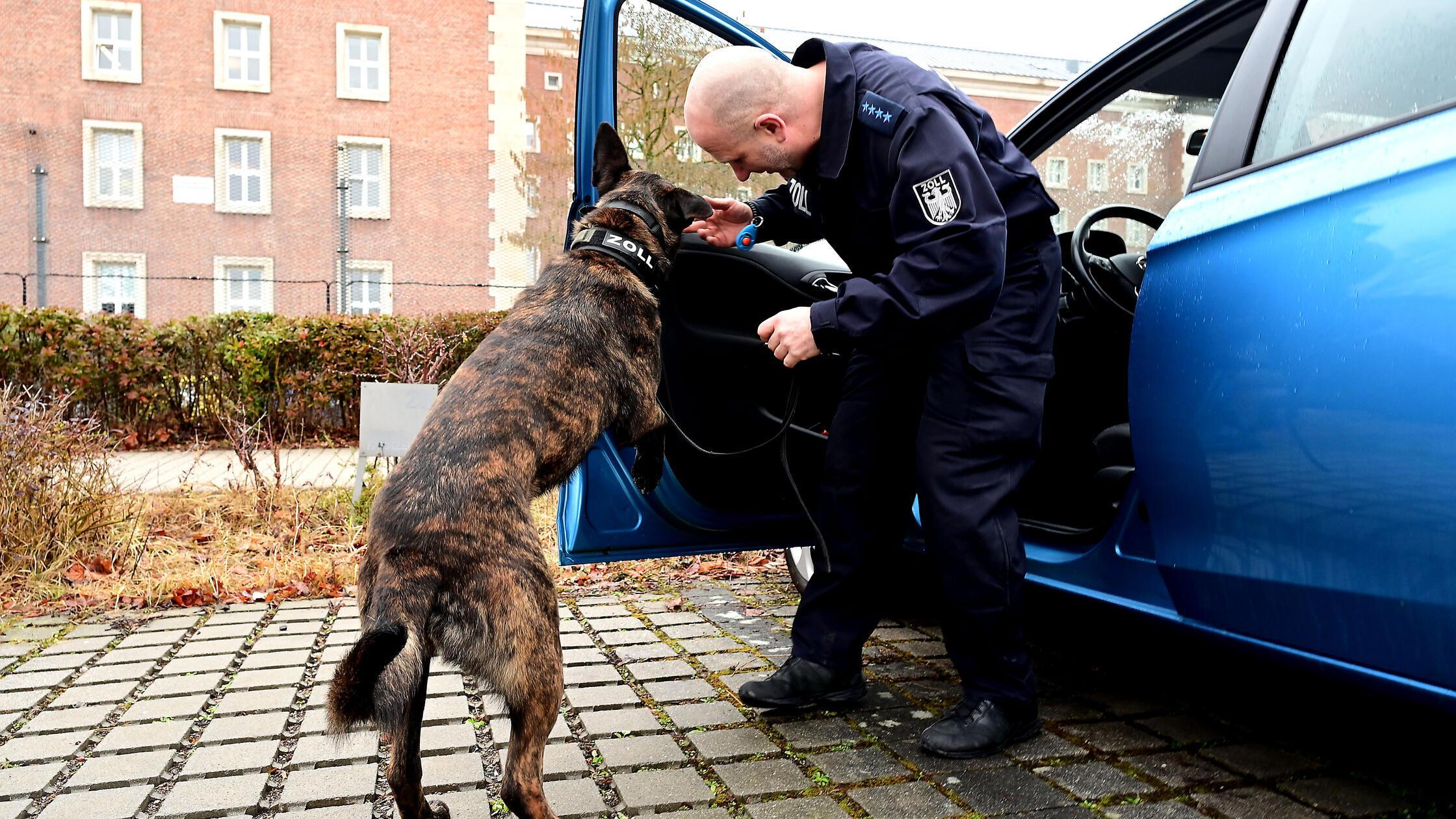 zollhund_hjw_110226_010