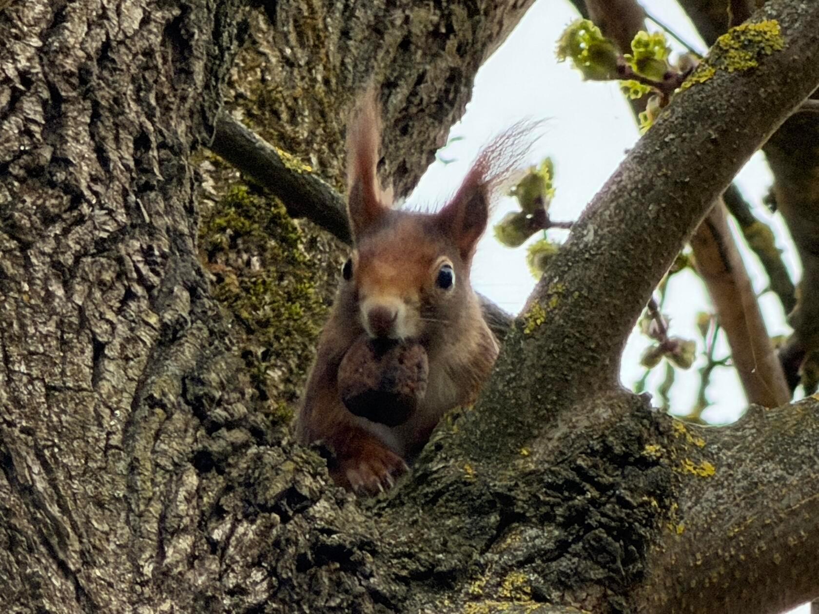 Im Garten unseres Lesers, wieder was aus der Vorratskammer geholt.