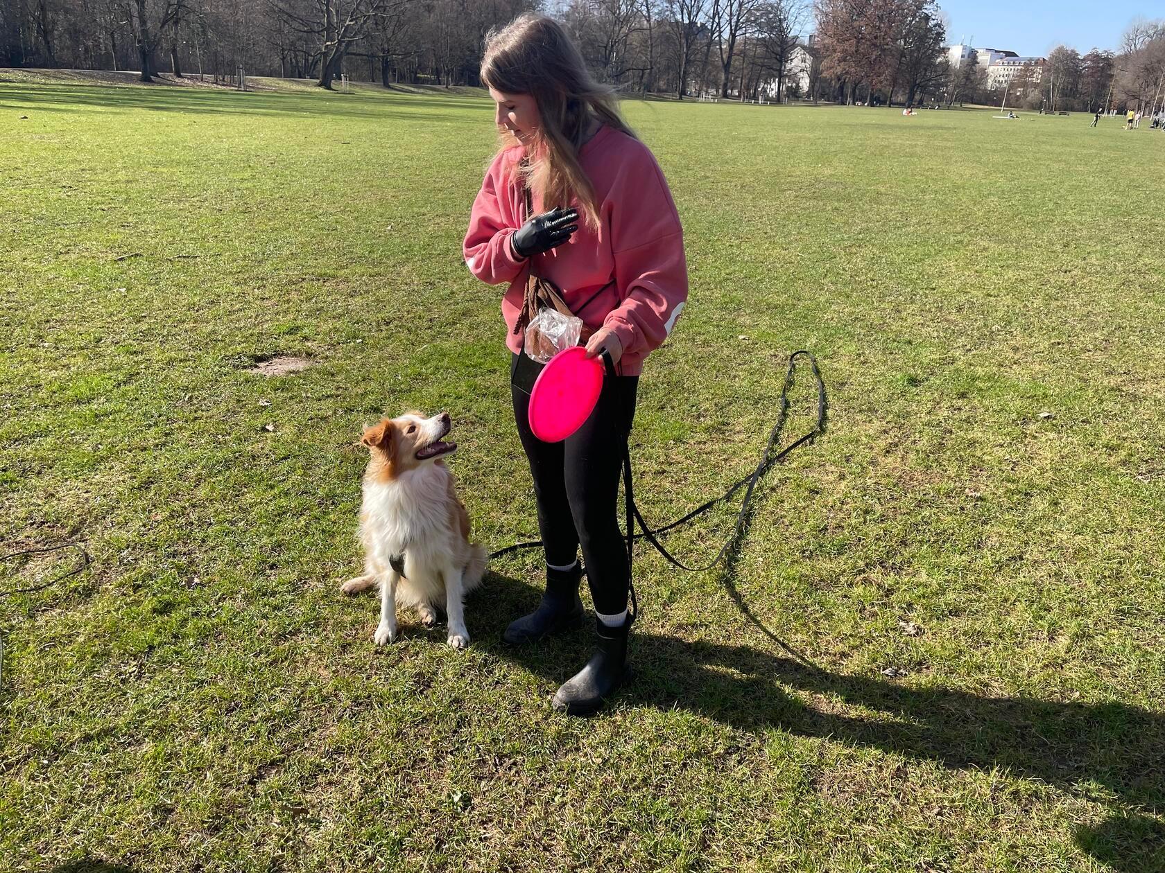 Da lassen sich die neusten Tricks gleich noch besser einüben.