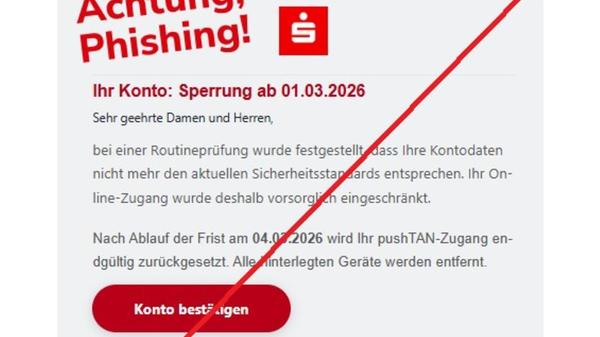 Screenshot 2026-03-01 084601