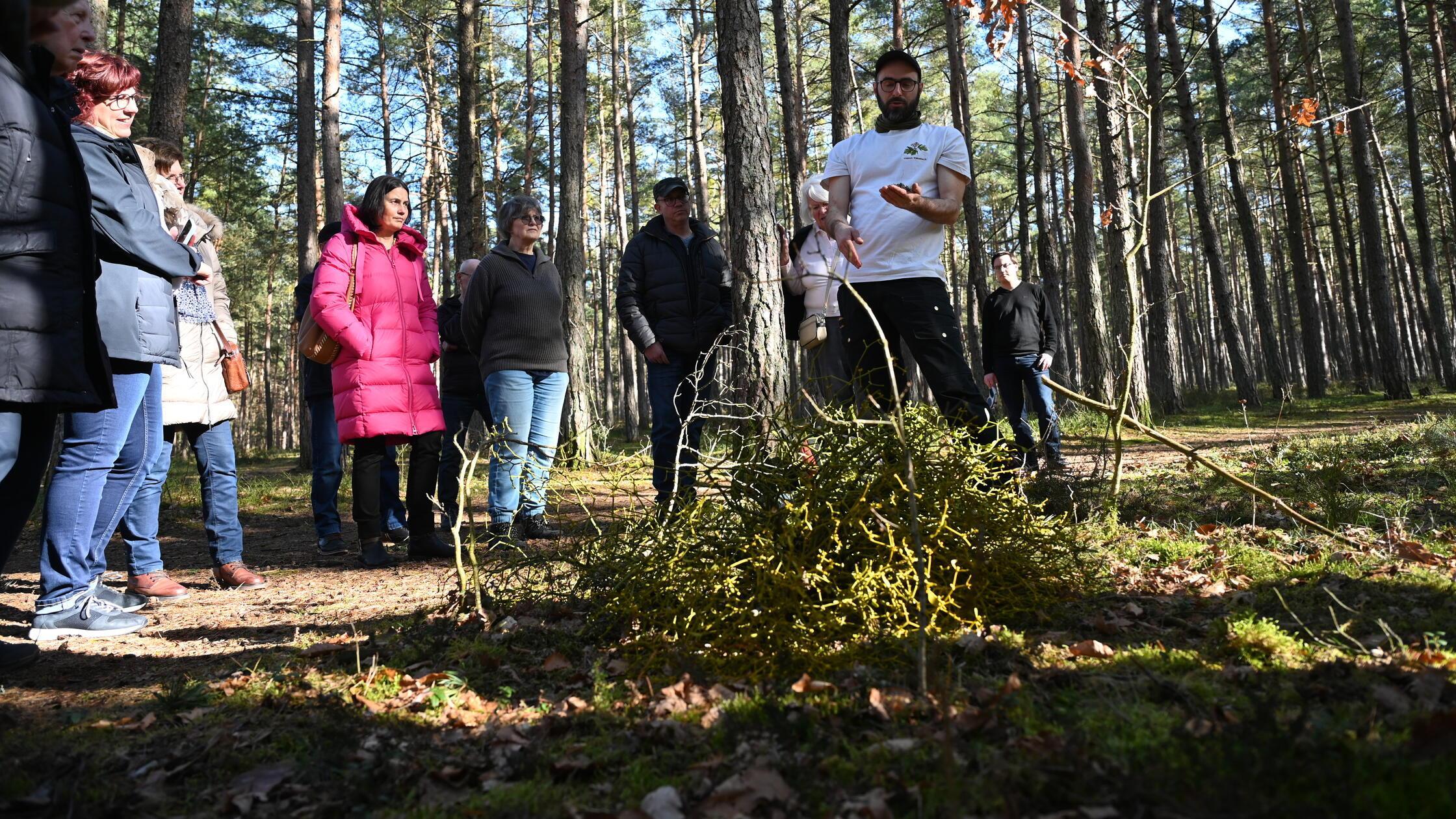 Stadtförster Tobias Tratz erklärt den Interessiert
