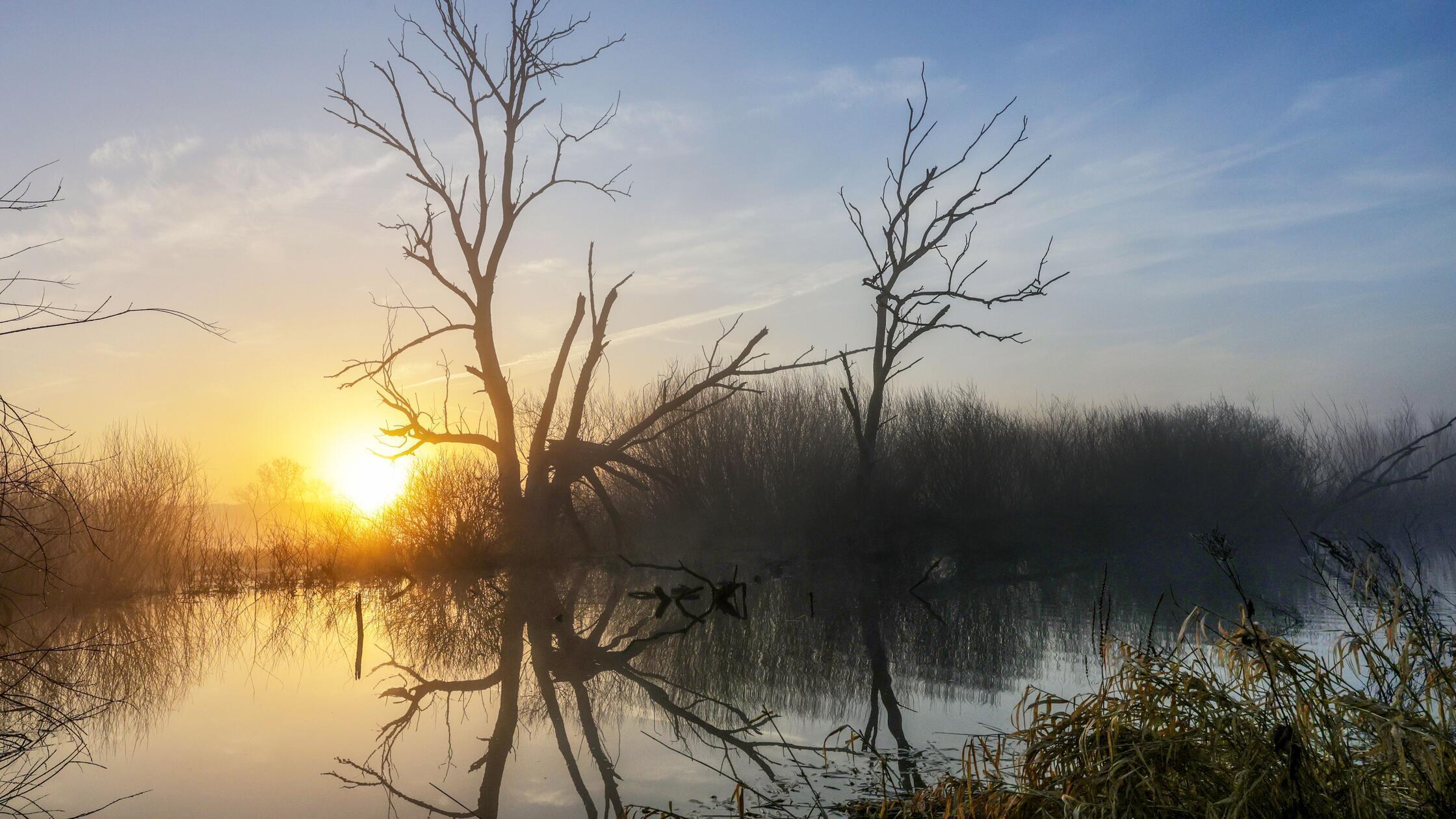 28.02.2026, Baden-Württemberg, Riedlingen: Hinter 