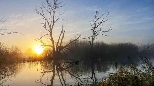 28.02.2026, Baden-Württemberg, Riedlingen: Hinter