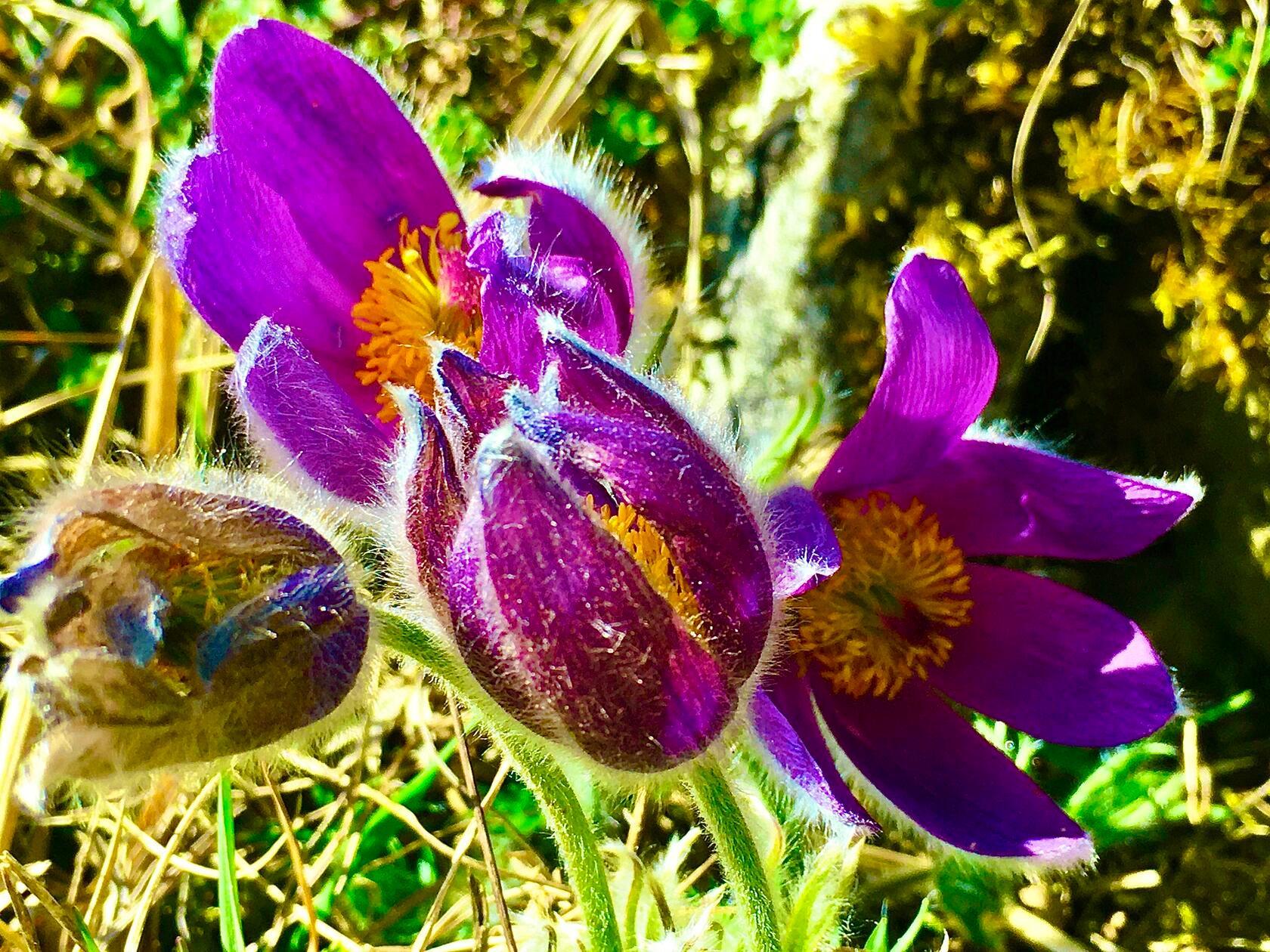 Leserfoto Michael Haas