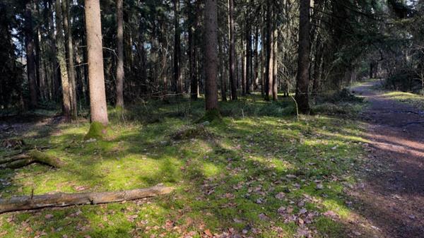 "Licht und Schatten" hat unsere Leserin Heidi Kostic ihr Bild genannt.